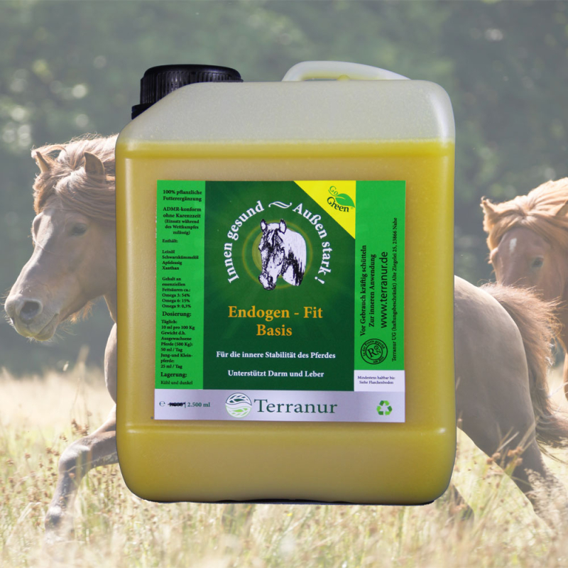 Endogen - Fit® Basis 2.500 ml Nachfüllkanister